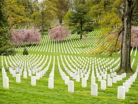 Arlington National Cemetery